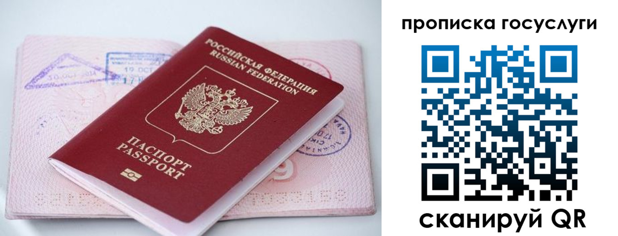 прописка законно в Мурманске